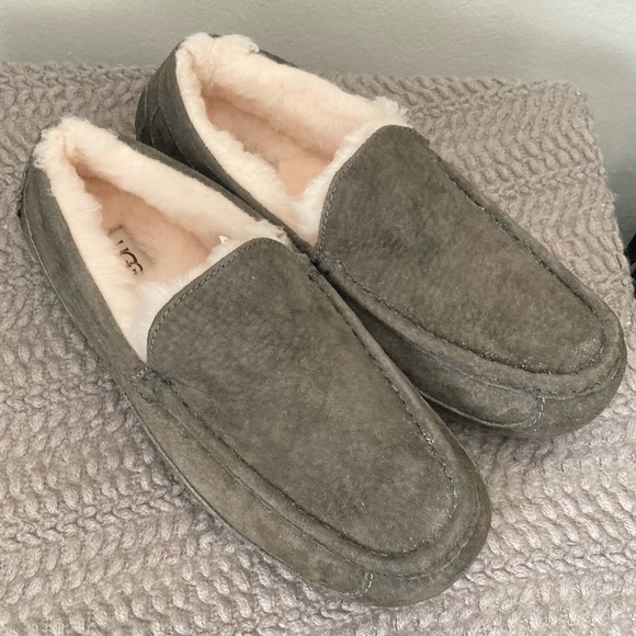 Ugg Gray Ascot Slippers - NWOT main image 8